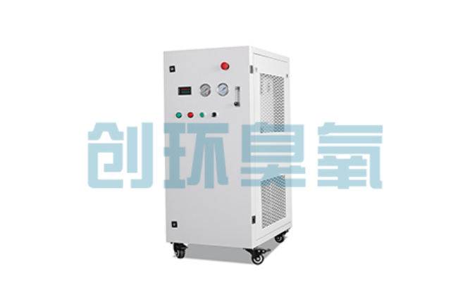 合川比传统换水更高效？臭氧发生器在石斑鱼养殖中的水质净化原理解析